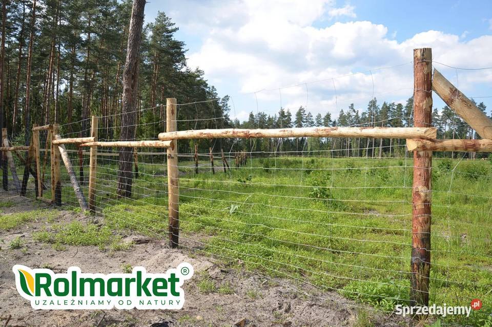 Ogrodzenie kur siatka metalowa leśna na dziki mazowieckie sprzedam