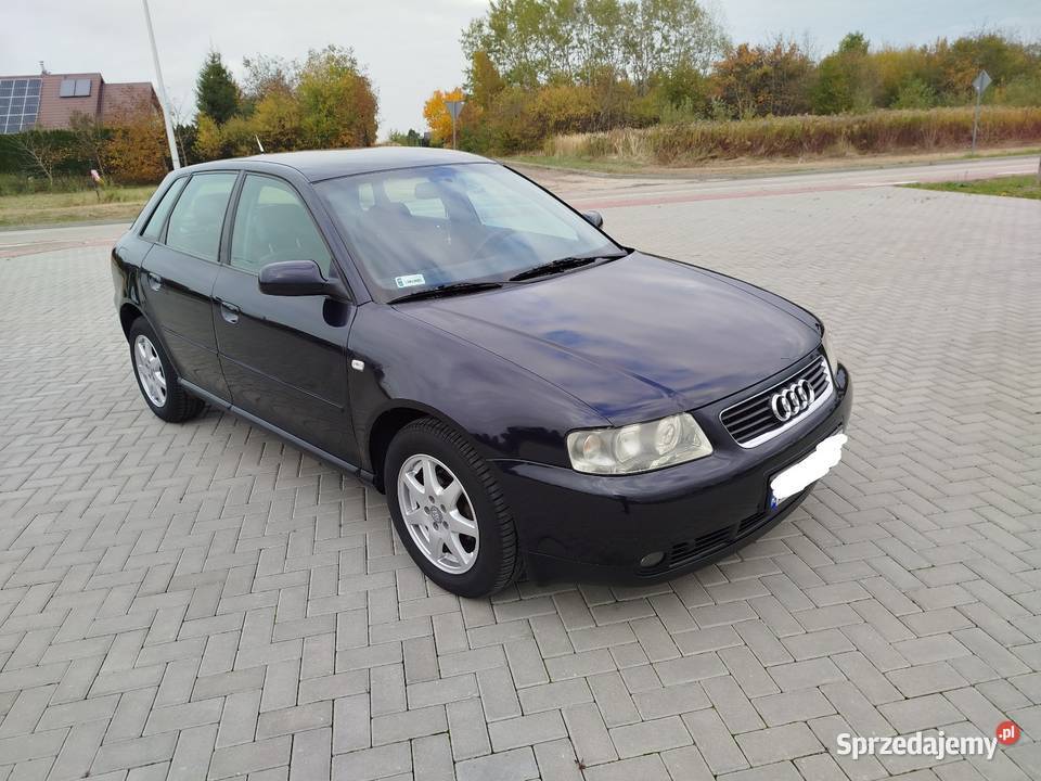 A3 8L 16 Benzyna 2002 wersja 5 DRZWI A3