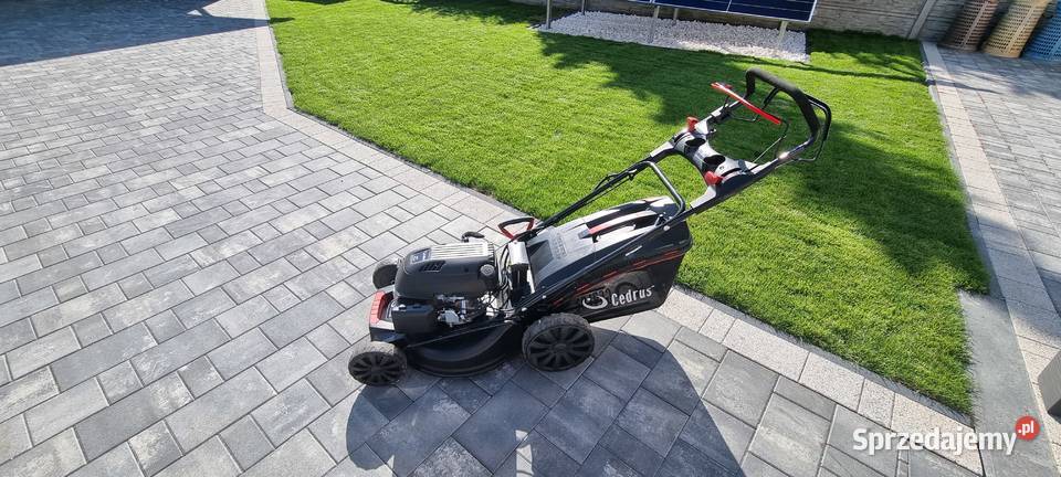 Kosiarka cedrus Szczekociny