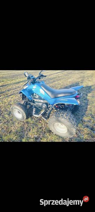 Quad Dinli masai 300 L7e dokumenty Żelazówka