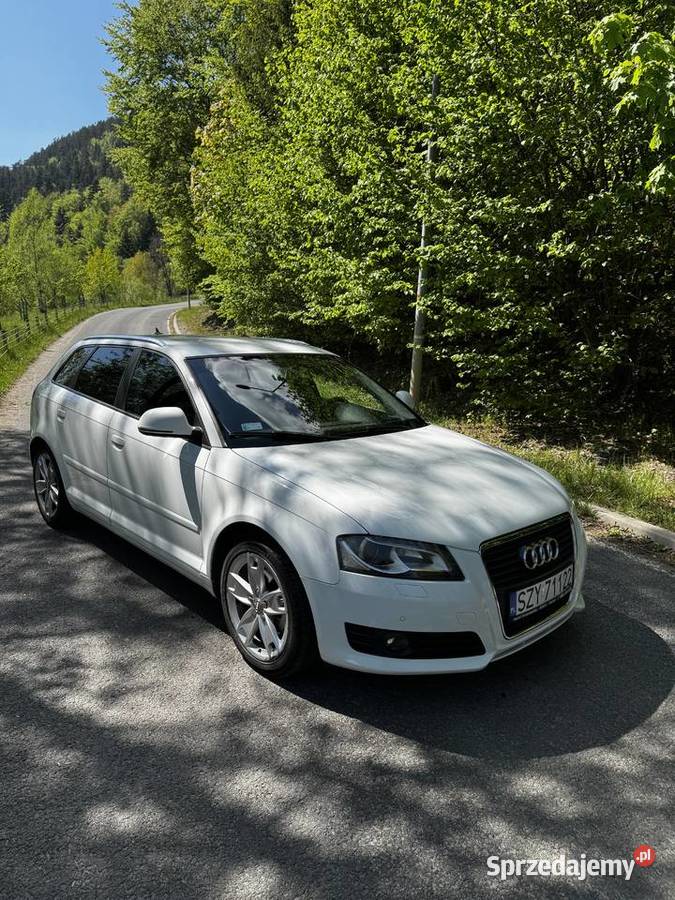 Audi A3 20 TDI COMMON RAIL 4/5 Cisiec