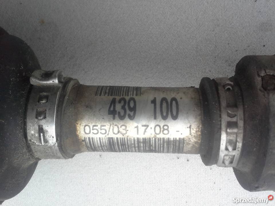 NISSAN PRIMERA p12 19 dci półoś prawa lewa Rok produkcji 2004 zachodniopomorskie Dębno