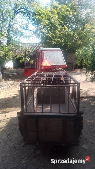 Przyczepka transportowa do zwierząt nieuszkodzony sprzedam