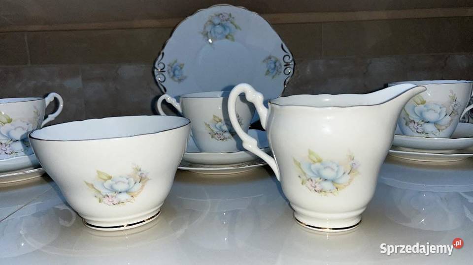 Mlecznik Montfort Staffordshire Biltons England Gdańsk