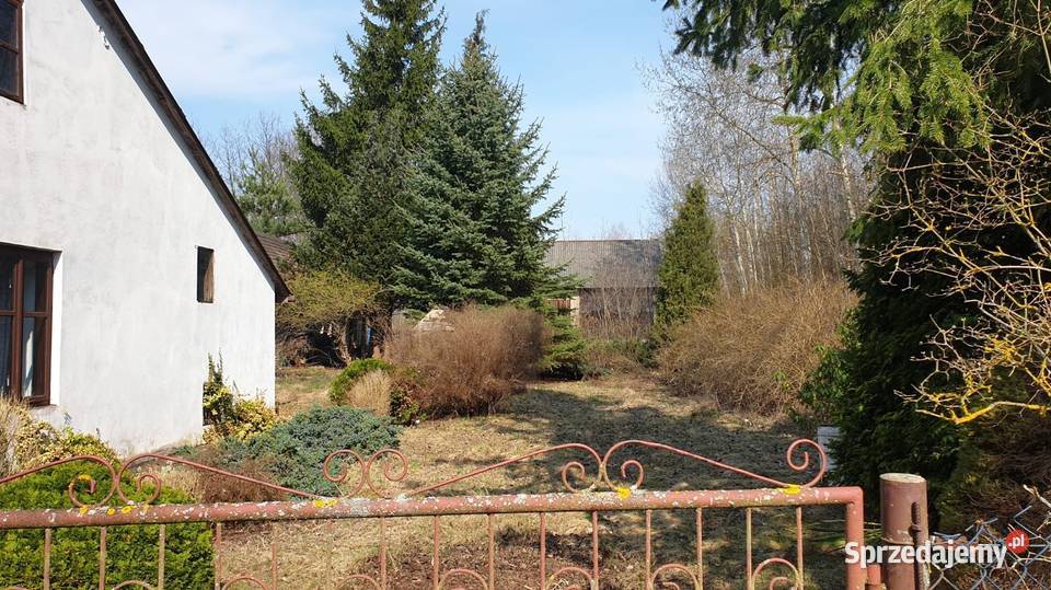 Działka dom budynki gospodarcze łódzkie Justynów sprzedam