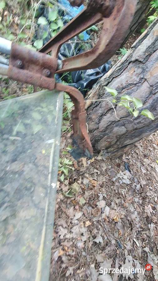 Bagażnik dachowy wartburg mazowieckie