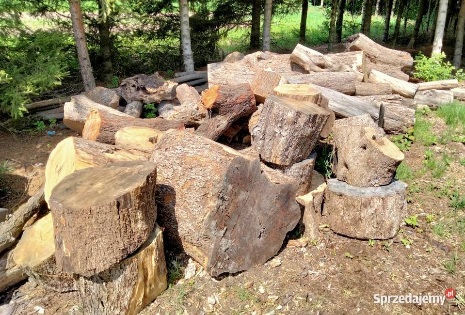Oliwka drewno sezonowana plastry deski bale Mielec sprzedam