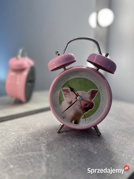 Budzik ze świnką świnią różowy HIT Zegary podkarpackie Jasło
