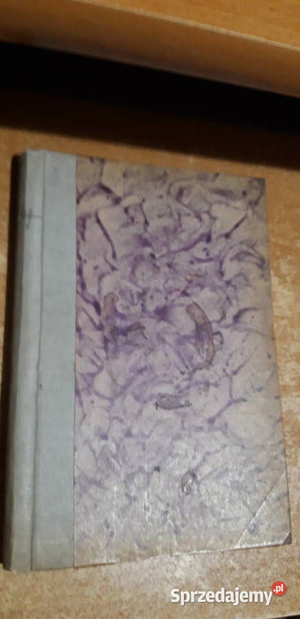 POD ROKIEM ZASWIATÓW S WASYLEWSKILwów 1923 Iwno