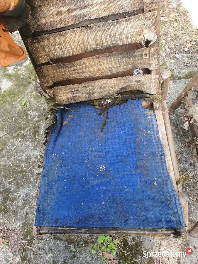 Fotele Celia typ 300227 Krzesła stare antyki Warszawa