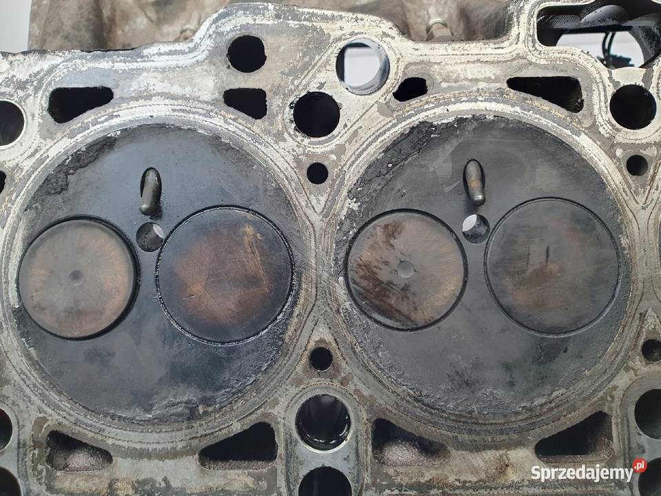 GŁOWICA CYLINDRÓW Audi A3 8P Skoda Octavia II VW Chełm sprzedam