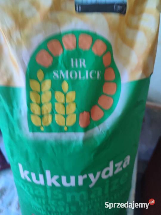 Sprzedam kukurydzę HR SMOLICE