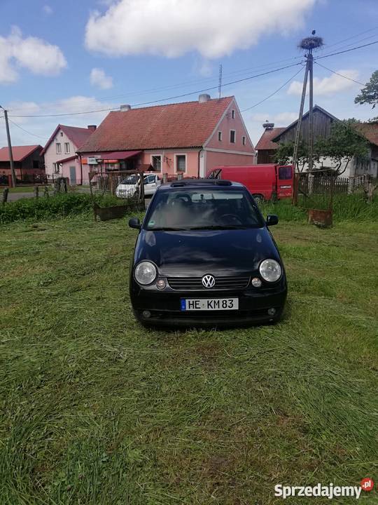 Lupo gotowe do rejestracji manualna warmińsko-mazurskie Lwowiec sprzedam