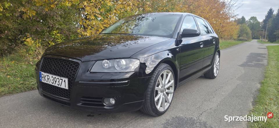 2007 Audi A3 20TDI 170 4x4 Quattro Bixenon Krosno