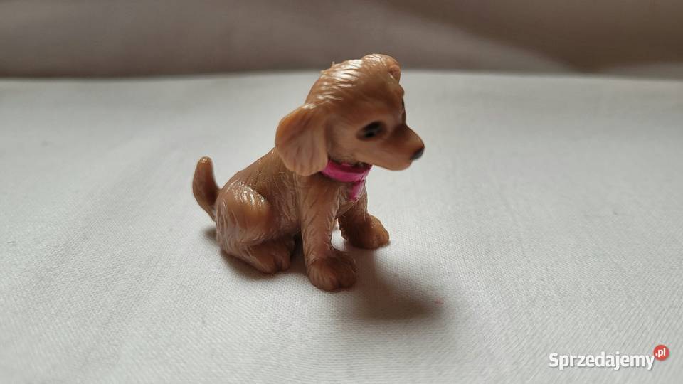 Nietuzinkowe Małe pieski do zabawy Piekary Śląskie