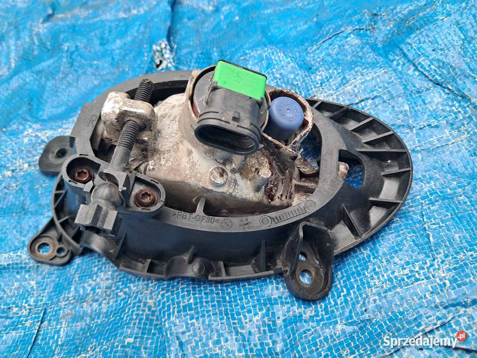 Halogen Prawy Przód Honda Accord VII osobowe Lampy przeciwmgielne Olsztyn