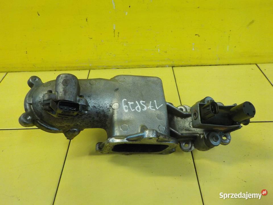 FORESTER IMPREZA LEGACY 20 D 12r 150 EE20Z rura Recyrkulacja spalin EGR Suków