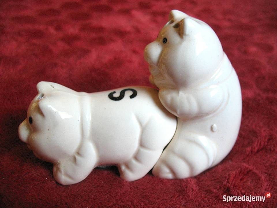 Sól i pieprz Świnki 8 x 5 x 5 Solniczka i Siedlce