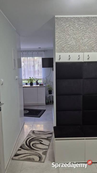 Sprzedam Mieszkanie w lokalizacji Rok budowy 1980 Dzierżoniów