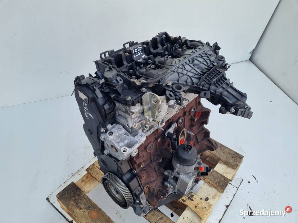 SILNIK Fiat Scudo II 20 HDI 163 ładnie pracuje Rudka