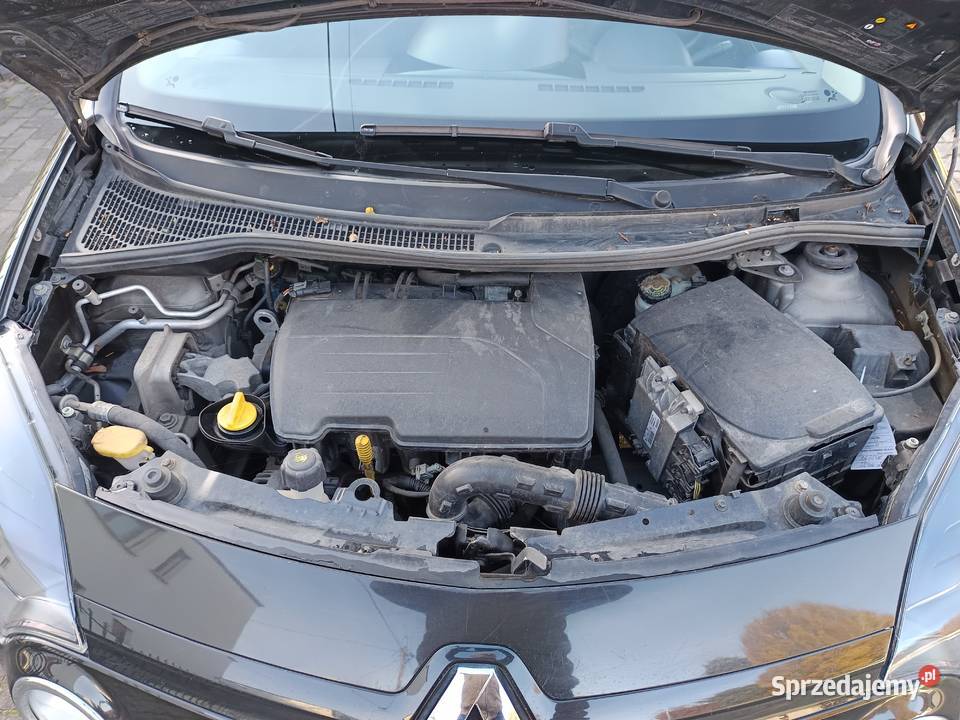 Renault Twingo II Niski przebieg Zarejestrowany Poznań