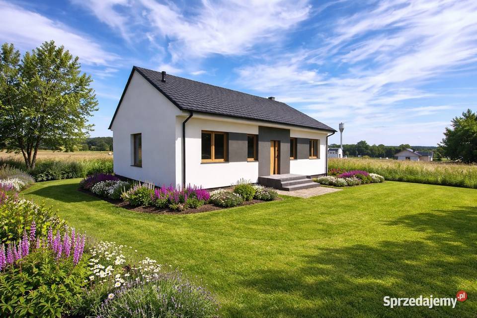 Dom pod lasem jeziora mieszkalny Sprzedaż Nowa Wieś Zbąska sprzedam