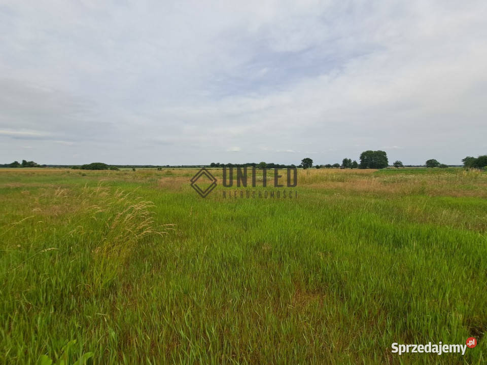 Działki w Jagoszycach niedaleko Prusic sprzedam