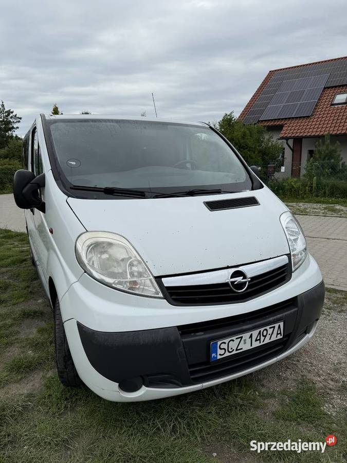 Opel Vivaro 2010 Diesel 20 CDTI stan 419 Ostrów Wielkopolski
