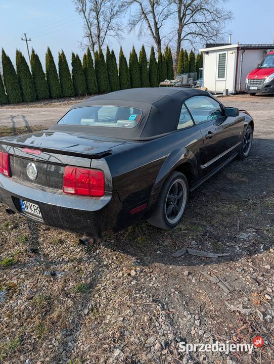 Ford Mustang kabriolet okazja Mustang Słubice