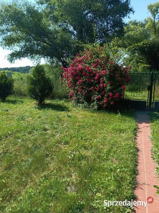 Dom 50m2 plus działka 1306m2 rzeką 11000zł/m2 Duchnów