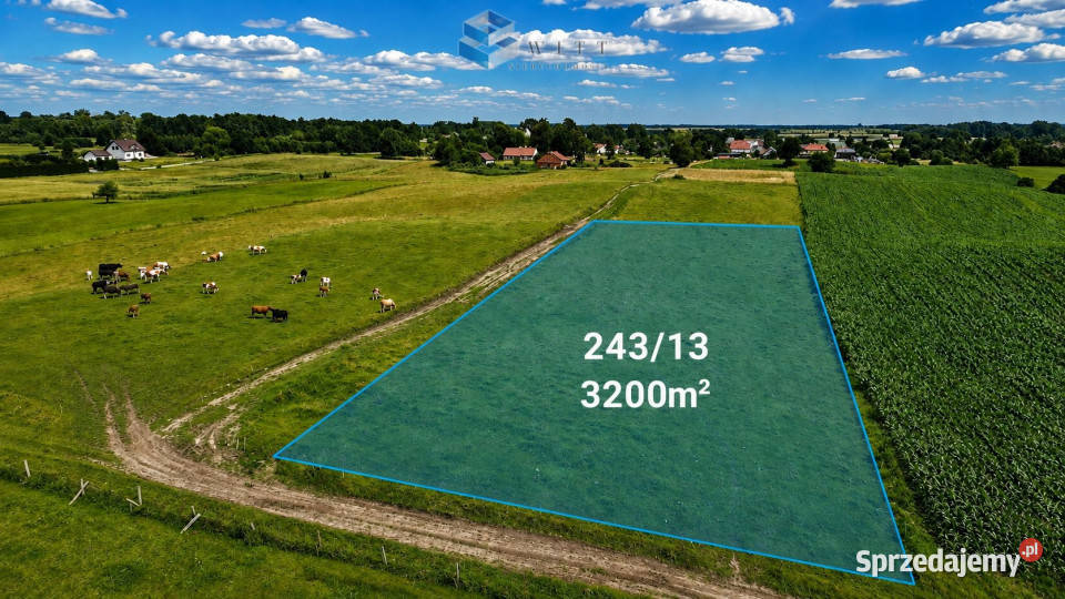 Działka 3200m2 Jurki polna warmińsko-mazurskie