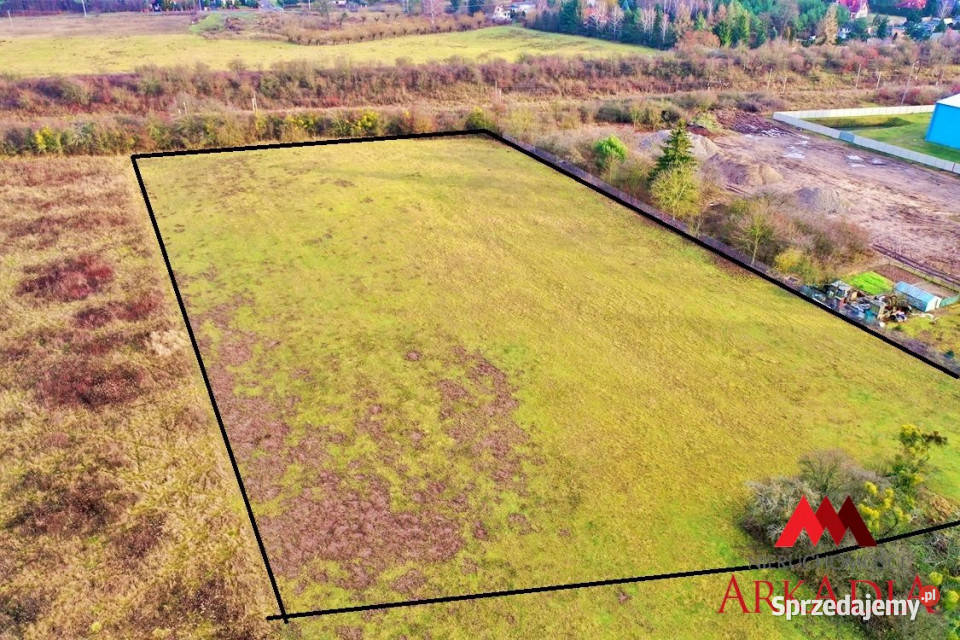 Działka Aleksandrów Kujawski 13174m2 Grunty i działki