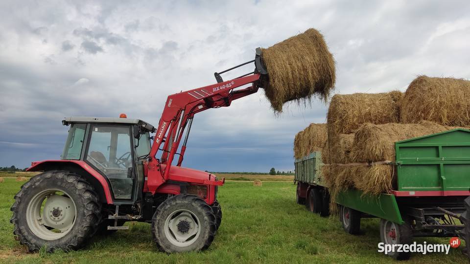 tur faucheux mailleux zenz do massey ferguson lubelskie Chełm sprzedam