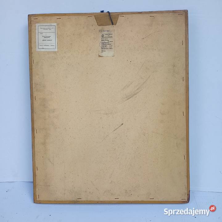 Obraz przyleciały Gawrony śląskie Zabrze