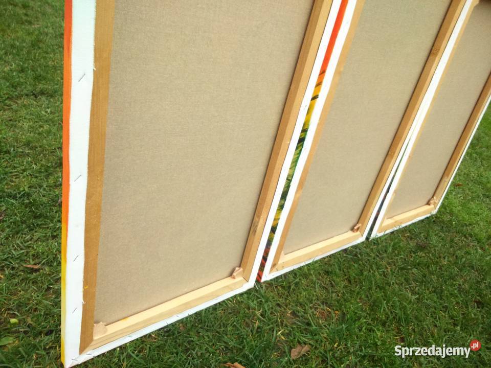 Obraz 3 częściowy kwiatygalmalarstwa Tuszkowo