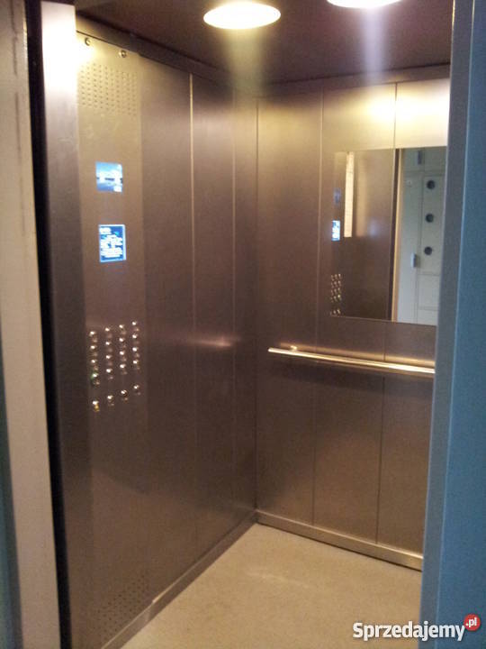 Bezpośrednio 3 pokoje Krochmalna Warszawa Mieszkania Warszawa