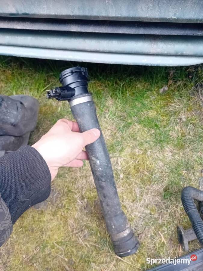 Pozostałości bo bmw e46 318i Pozostałe Wiślica