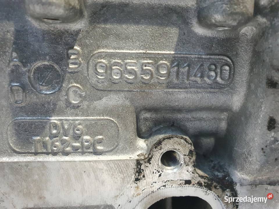 GŁOWICA CYLINDRÓW Ford Focus MK2 II 16 TDCI lubelskie