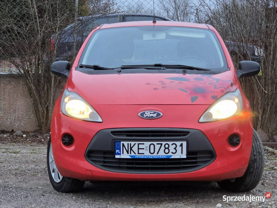 Ford KA 12 TitaniumKlimaPełen serwis II 2008 nieuszkodzony warmińsko-mazurskie Kętrzyn