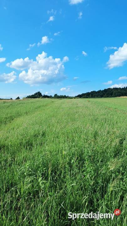 Sprzedam działkę budowlaną widokową.