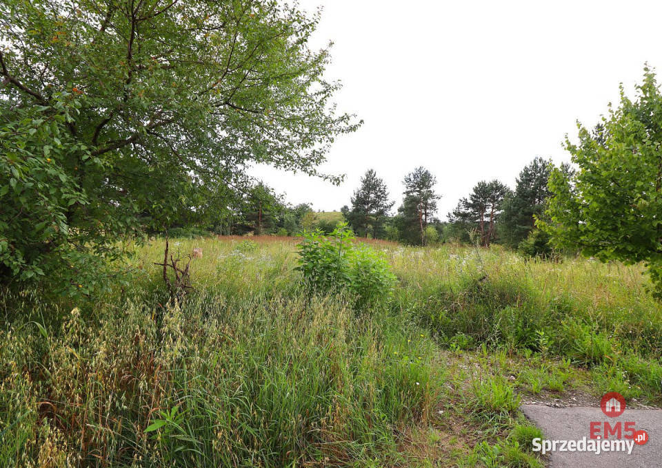 Sprzedaż gruntu Suwałki 3758m2