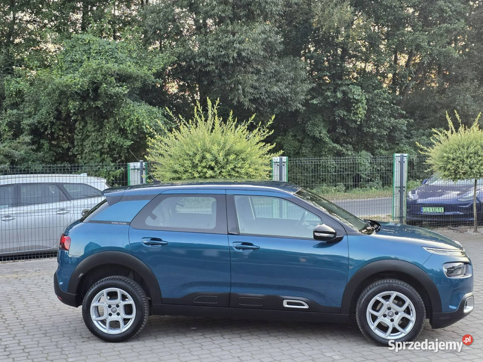 Citroen C4 Cactus 15 BlueHDI 102 SS NAVI ZADBANY isofix Skępe