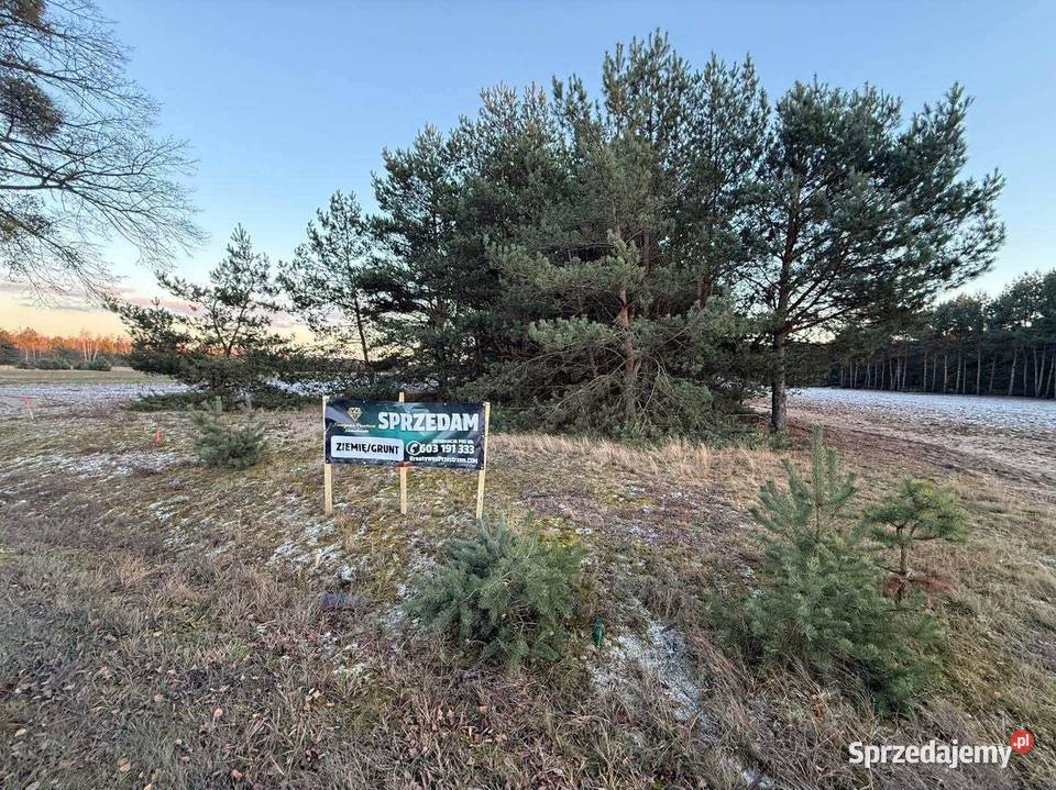 Działki budowlane na sprzedaż Józefowo k Słupcy wielkopolskie Piotrowice sprzedam
