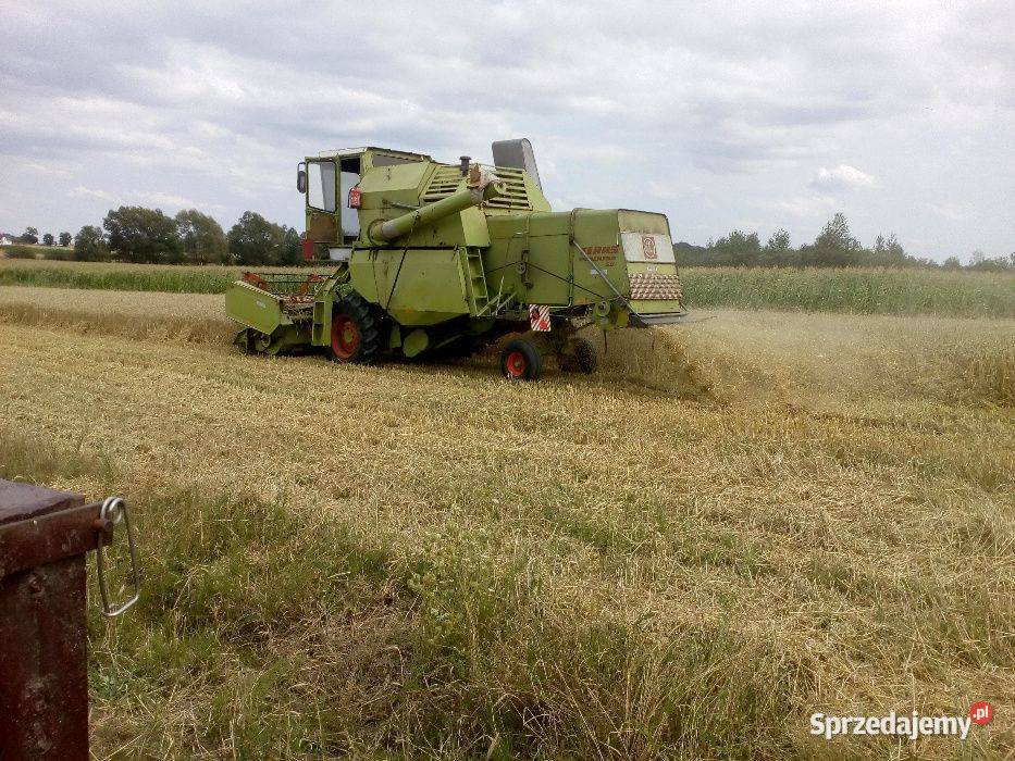 Kombajn zbożowy Claas Mercator 50 Orzelec Duży