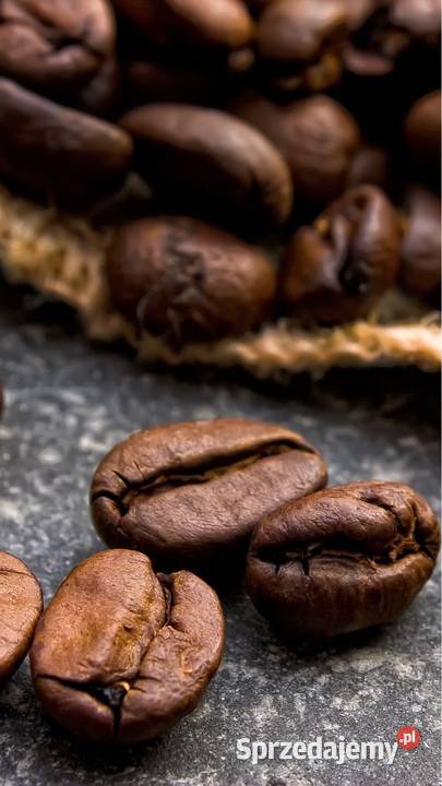 Naprawa komputerów Chodzież