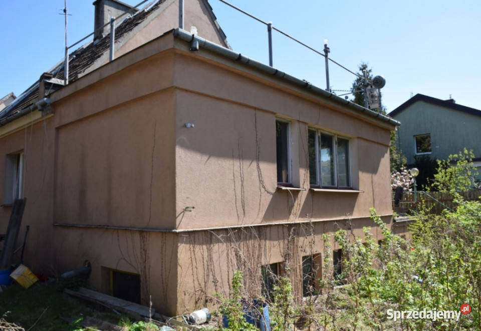 Gołąbki Jesienna 30 Warszawa