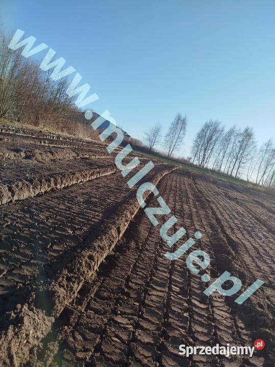 Mulczowanie działek Olkusz wgłębne Karczowanie i usuwanie drzew małopolskie