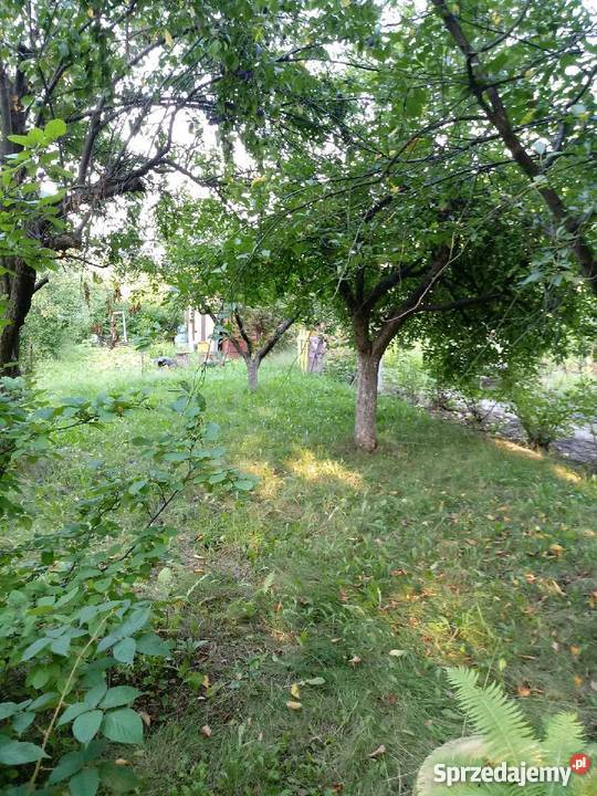 Ogródek Działkowy Hagera Zabrze RodSzarotka