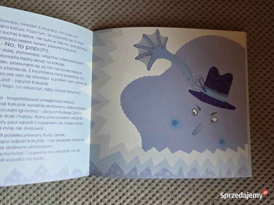 Zwariowana kałuża Danuta Parlak Książki dla dzieci Kraków sprzedam