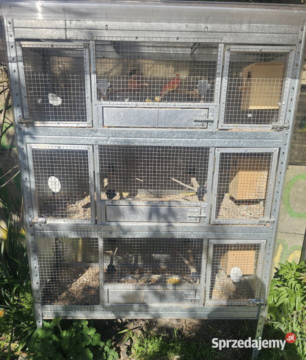 Wolieraklatka 3 pary papug Godów